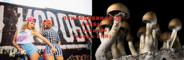 стафф Алзамай