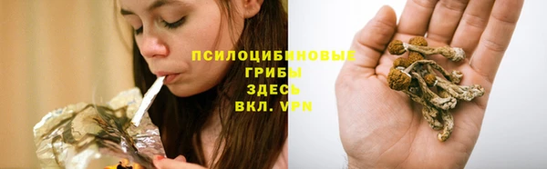 стафф Алзамай