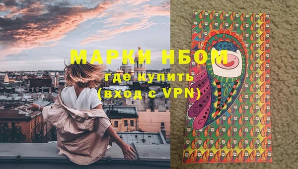 стафф Алзамай