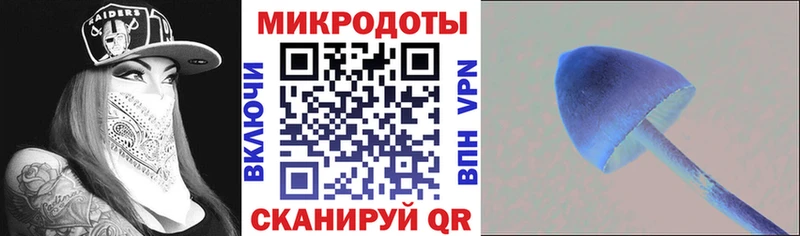 Псилоцибиновые грибы Psilocybine cubensis  Ивангород 
